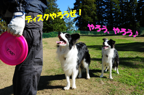 c0147241_18433451.png
