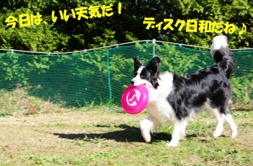 c0147241_18434183.png