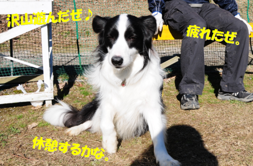 c0147241_18441022.png