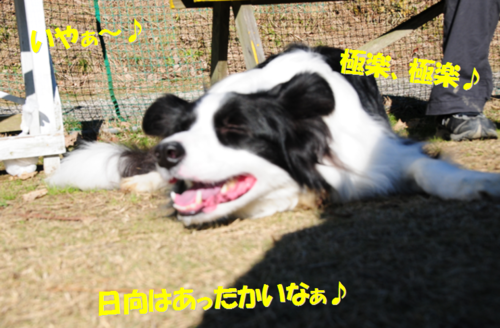 c0147241_18441625.png