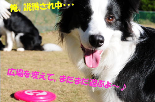 c0147241_18443939.png