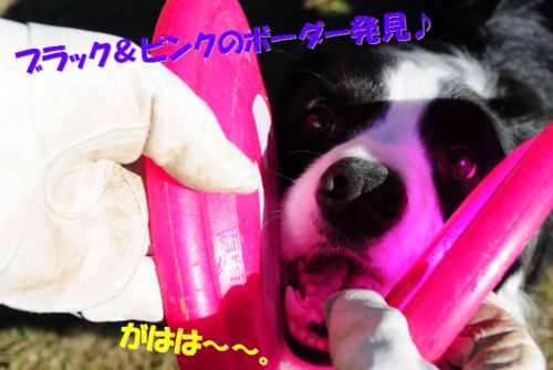 c0147241_2016970.png