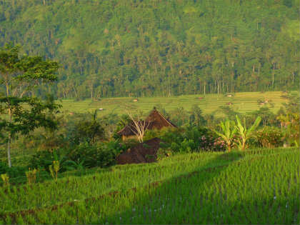 b0166749_21131771.jpg