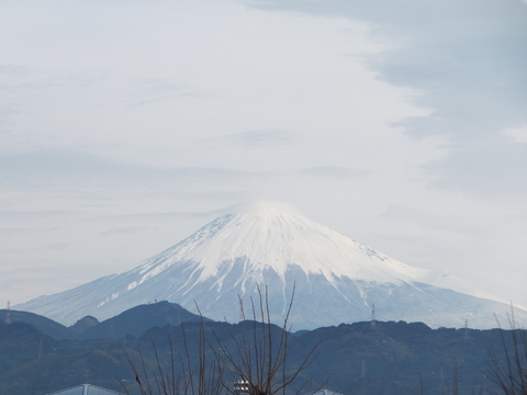 甘～～い、干し芋_b0177649_2301164.jpg