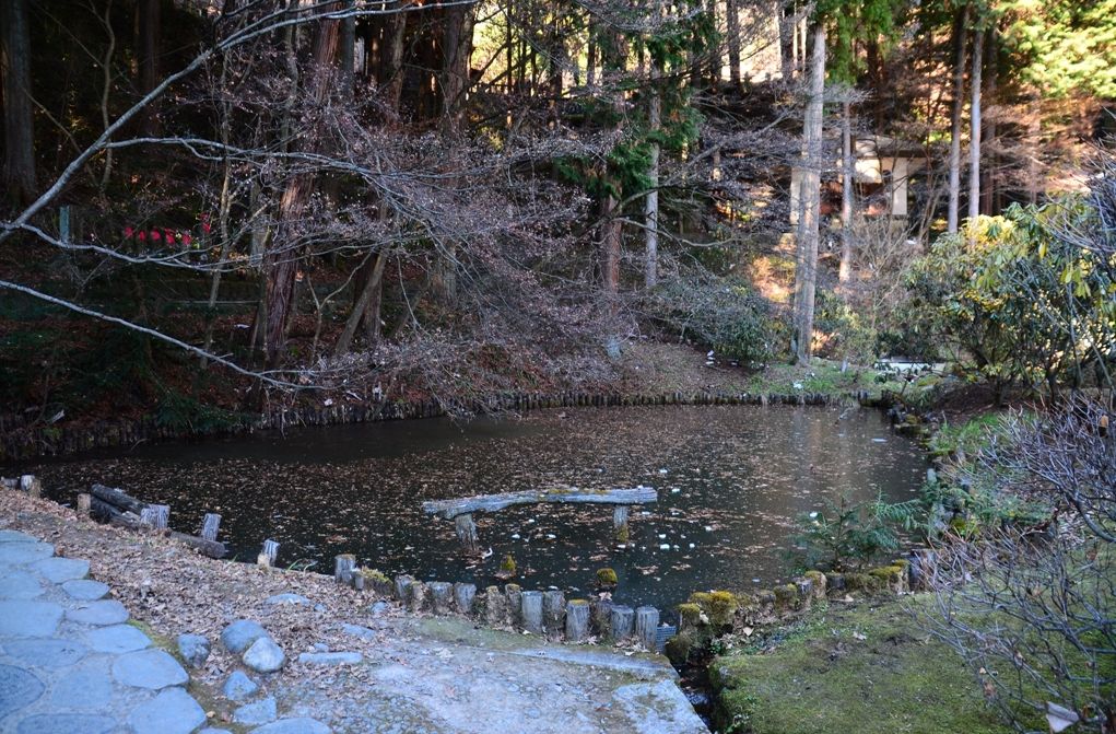 temple2（別所温泉・安楽寺２）_e0223456_952157.jpg