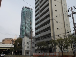 d0083265_20152915.jpg