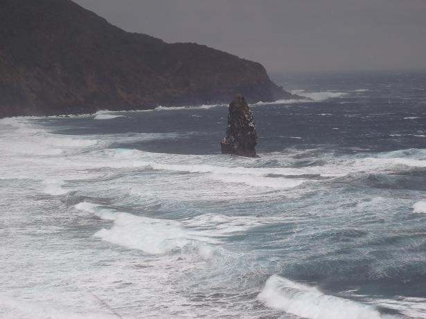 c0123272_1751322.jpg