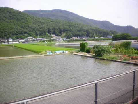 真夏の中国地方ローカル線3 (姫新線/津山線)_b0005281_2143387.jpg