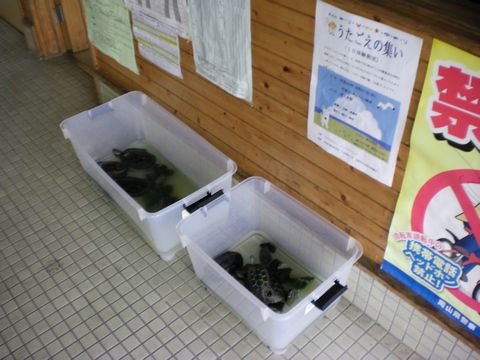 真夏の中国地方ローカル線3 (姫新線/津山線)_b0005281_2161478.jpg