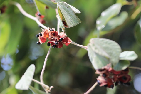 e0024081_13305425.jpg