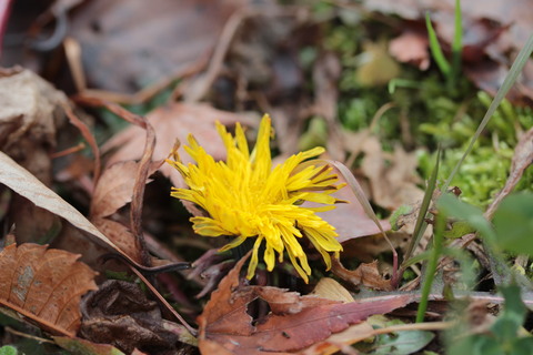 e0024081_13314750.jpg
