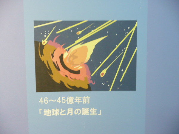 地球の歴史　大阪科学技術館の展示から_b0118987_6331616.jpg