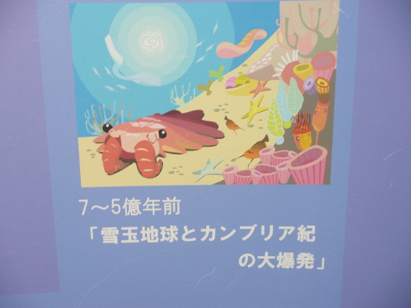 地球の歴史　大阪科学技術館の展示から_b0118987_6333658.jpg