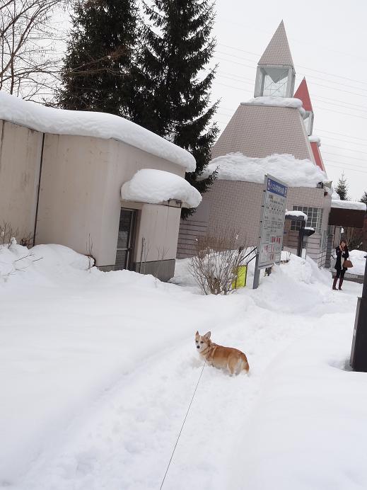 山形蔵王雪遊び_f0075595_21595873.jpg