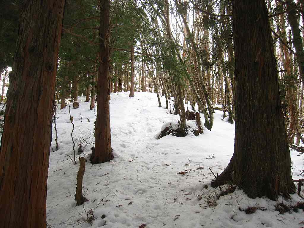 雪の　天狗塚　　晴れ　　　24.01.22_b0124306_2314536.jpg