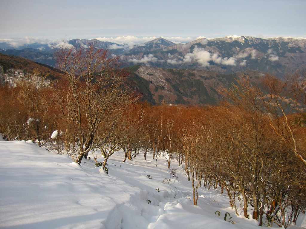 雪の　天狗塚　　晴れ　　　24.01.22_b0124306_23252263.jpg