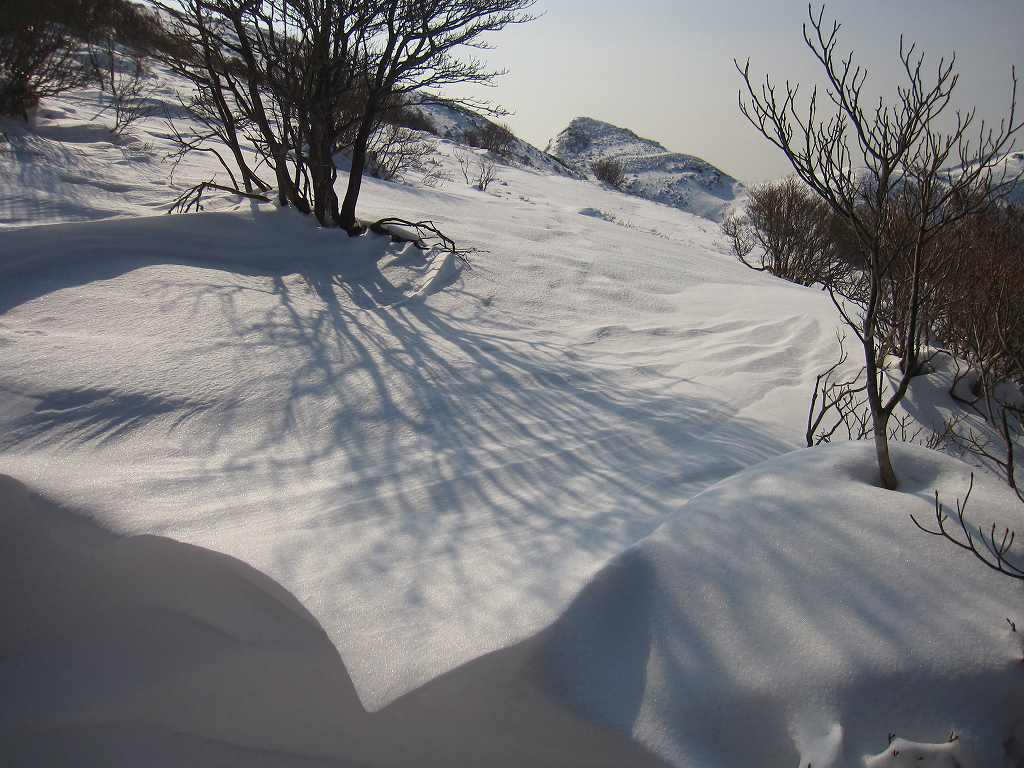 雪の　天狗塚　　晴れ　　　24.01.22_b0124306_2347952.jpg