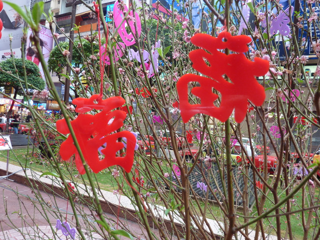 b0182008_10325216.jpg