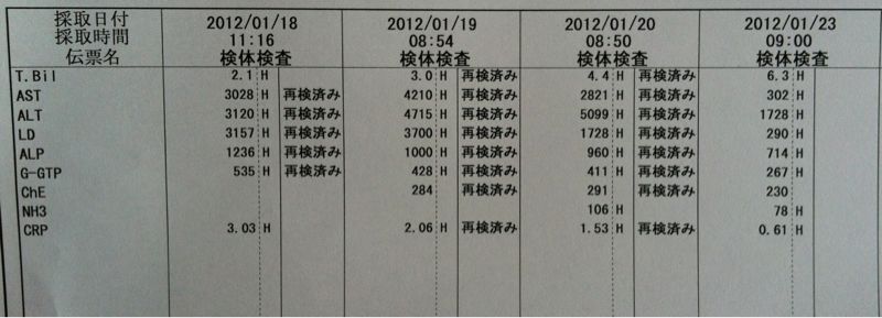 一応、山は越したようです。_d0153911_20405163.jpg