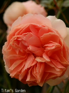 b0099813_0164834.jpg