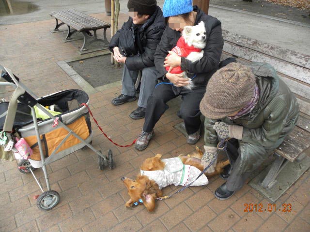 b0203018_1703266.jpg