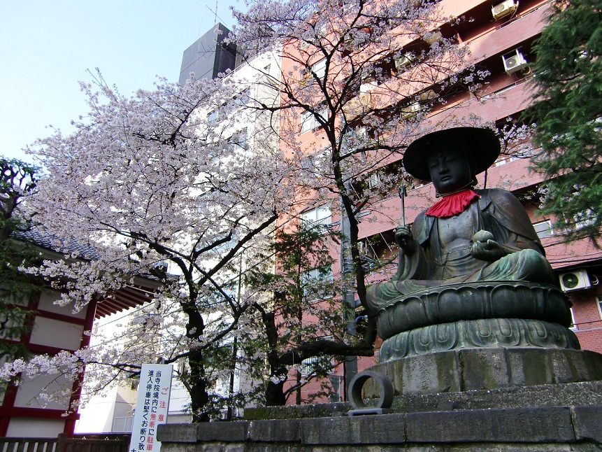 太宗寺（東京都新宿区）_c0219820_13583753.jpg