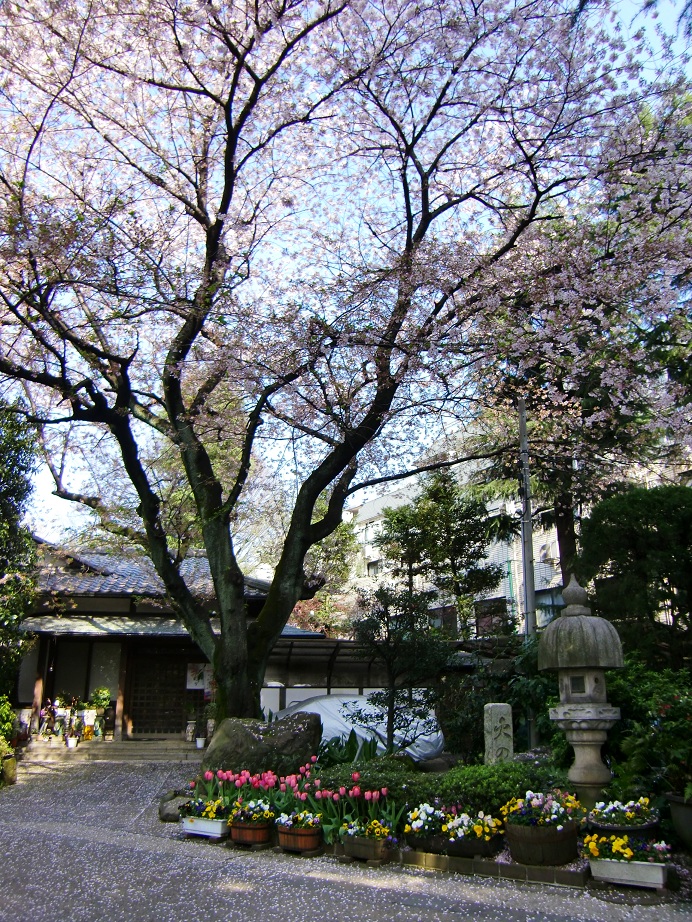 谷中 玉林寺（東京都台東区）_c0219820_15425491.jpg