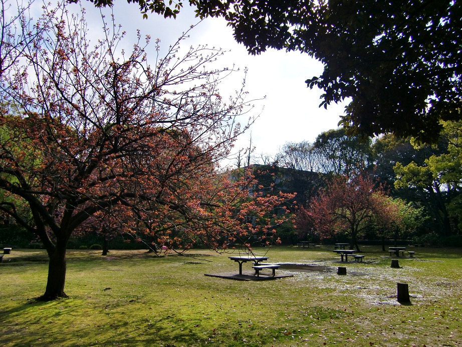 清澄庭園（東京都江東区）_c0219820_172399.jpg