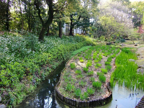 清澄庭園（東京都江東区）_c0219820_1725540.jpg