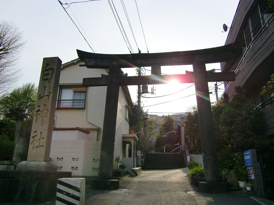 白山神社（東京都文京区）_c0219820_1739333.jpg