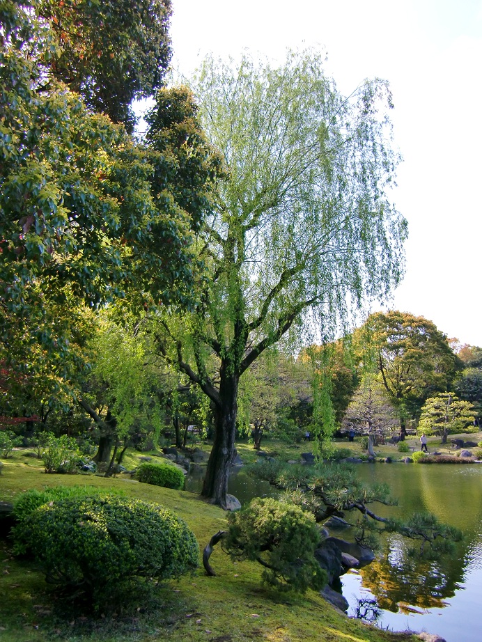 清澄庭園（東京都江東区）_c0219820_1741776.jpg