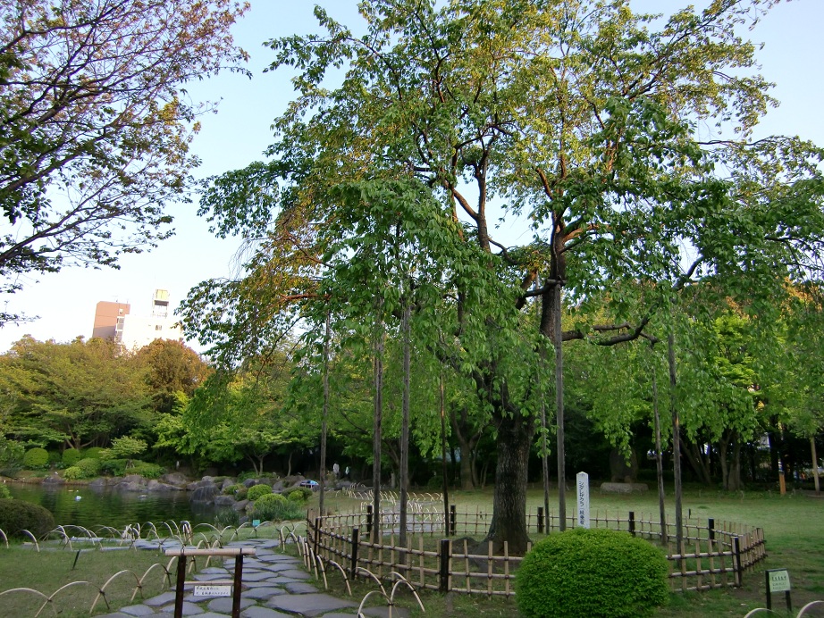 行船公園（東京都江戸川区）_c0219820_21122320.jpg