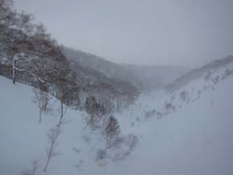 e0223120_819357.jpg