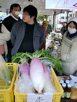  日曜市宣伝、県労連中央委員会、一宮薊野支部会議_e0255020_17204962.jpg