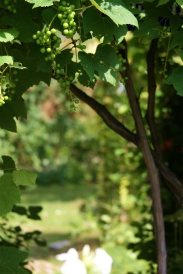 f0170524_1356737.jpg