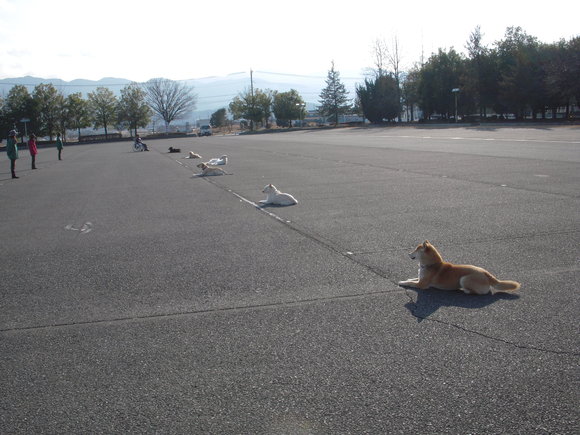 合同訓練（小瀬運動公園第三駐車場）_c0114833_23522672.jpg