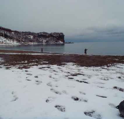 e0186633_23304582.gif