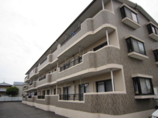 藤枝市 コンフォート_b0208246_1542432.jpg