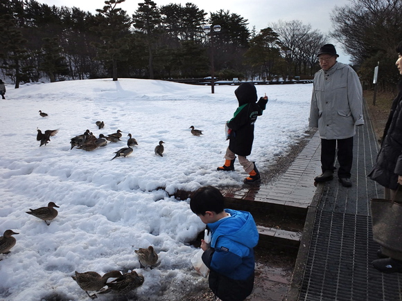 土門拳記念館とカモ_f0111747_21442095.jpg