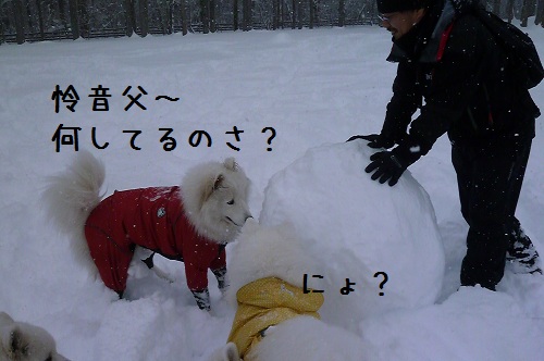 ◆夢の雪中オフ・えぴそーど①◆_a0166954_231239.jpg