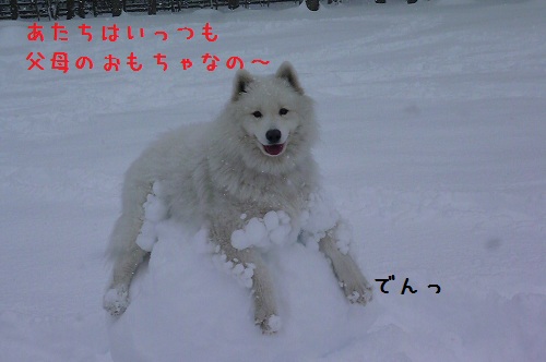 ◆夢の雪中オフ・えぴそーど①◆_a0166954_2315433.jpg