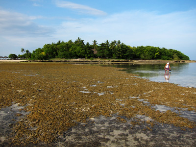 c0008664_23165592.jpg