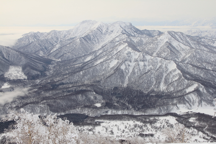 1月22日　三田原山_f0223068_12541616.jpg