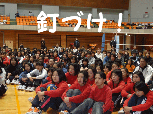 栃木_c0000970_9595639.gif