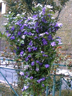 f0200477_21403252.jpg
