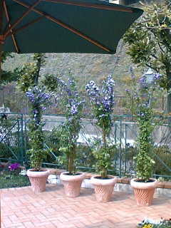 f0200477_21404745.jpg