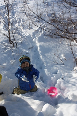 f0120980_17390.jpg