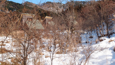 e0024081_20121485.jpg