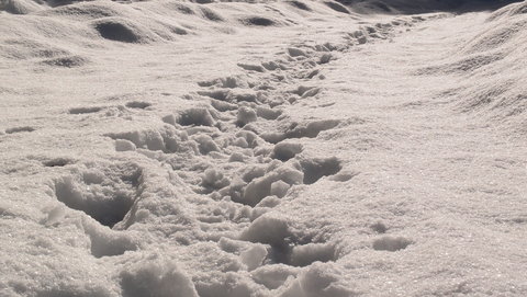 e0024081_2012304.jpg