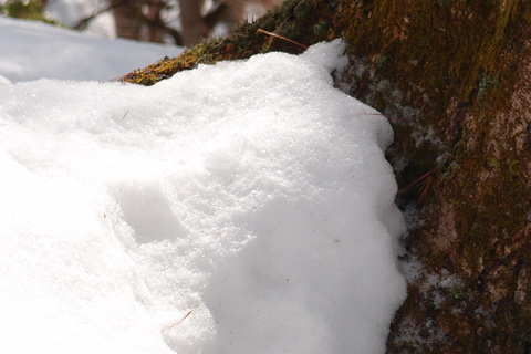 e0024081_2013245.jpg